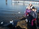 Filename=Picture_318.jpg
Filesize=78KiB
Dimensions=700x525
Date added=Dec 19, 2012 Picture_318.jpg
