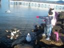 Filename=Picture_322.jpg
Filesize=84KiB
Dimensions=700x525
Date added=Dec 19, 2012 Picture_322.jpg