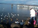 Filename=Picture_328.jpg
Filesize=70KiB
Dimensions=700x525
Date added=Dec 19, 2012 Picture_328.jpg
