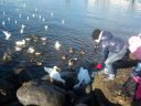 Filename=Picture_329.jpg
Filesize=88KiB
Dimensions=700x525
Date added=Dec 19, 2012 Picture_329.jpg