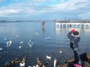 Filename=Picture_330.jpg
Filesize=68KiB
Dimensions=700x525
Date added=Dec 19, 2012 Picture_330.jpg