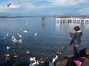 Filename=Picture_331.jpg
Filesize=69KiB
Dimensions=700x525
Date added=Dec 19, 2012 Picture_331.jpg