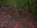Filename=Picture_359.jpg
Filesize=88KiB
Dimensions=700x525
Date added=Dec 19, 2012 Picture_359.jpg