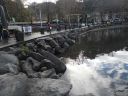 Filename=SAM_1716.JPG
Filesize=151KiB
Dimensions=1024x768
Date added=Dec 06, 2012 SAM_1716.JPG
